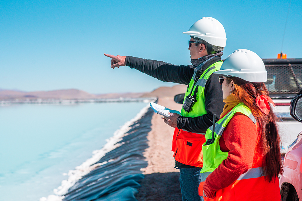 Lithium Market Dynamics